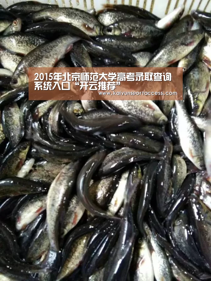 2015年北京师范大学高考录取查询系统入口“开云推荐”(图1) 开云游戏