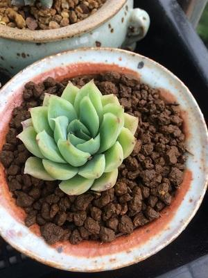 开云推荐