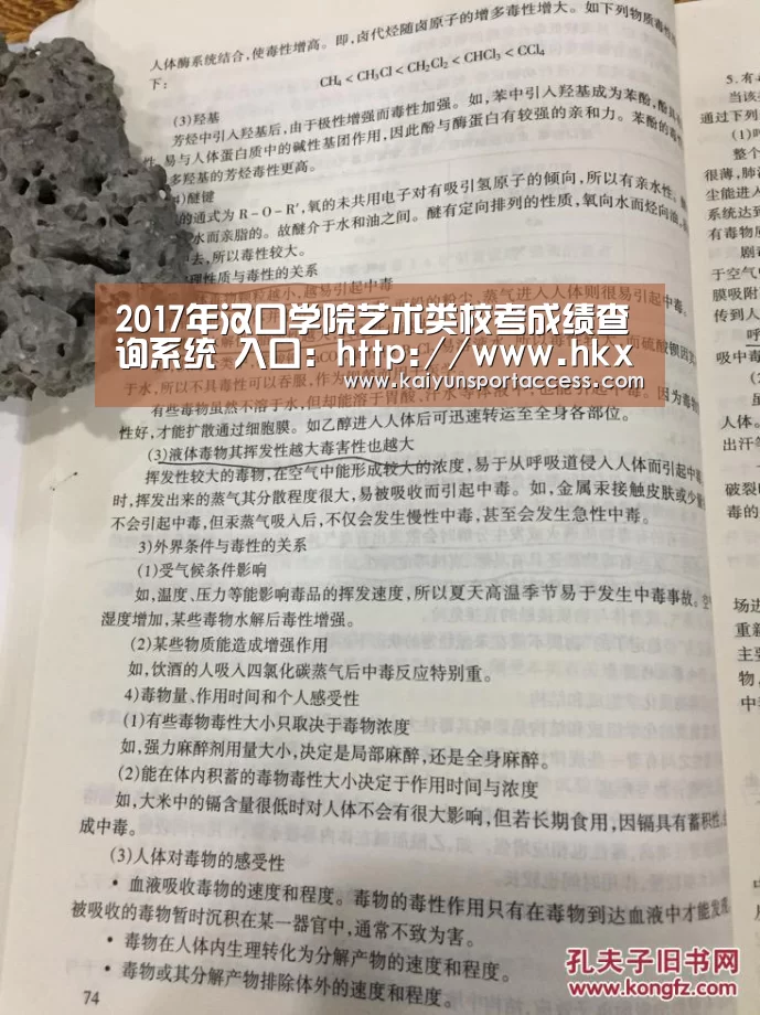 开云频道