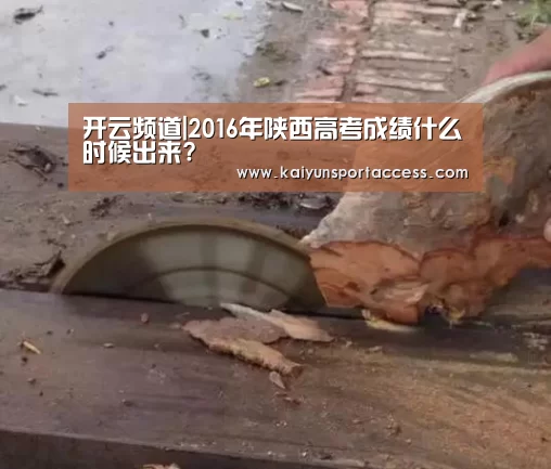 开云频道|2016年陕西高考成绩什么时候出来?(图3) 开云游戏